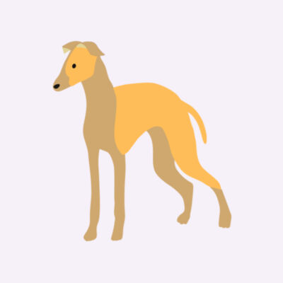 Little red fawn hound Design