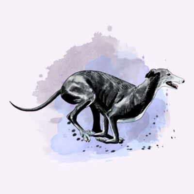Running hound watercolour Design